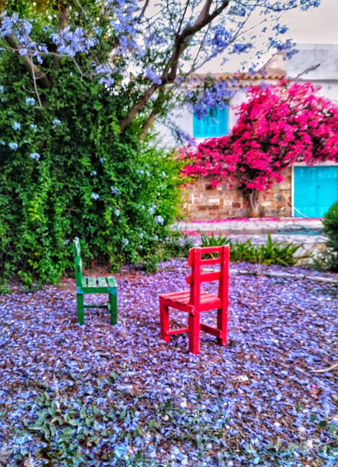 Lemon Tree Cottage Finikounta Luaran gambar